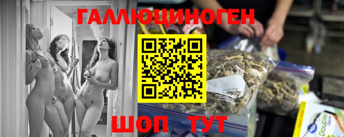 Псилоцибиновые грибы MAGIC MUSHROOMS Новоалександровск